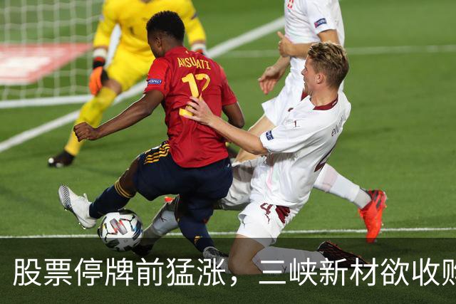 股票停牌前猛涨，三峡新材欲收购锂电材料巨头